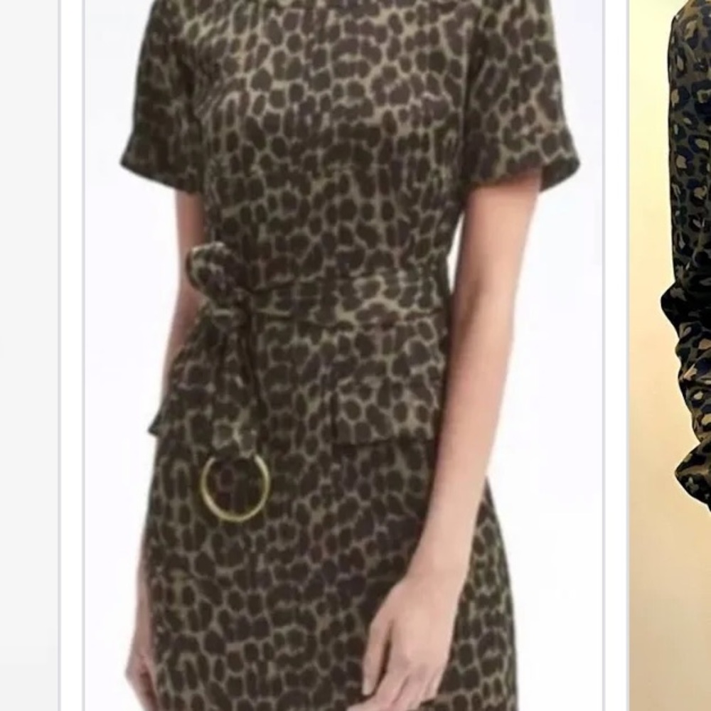 Banana Republic short sleeve leopard print satin dress Sz Small